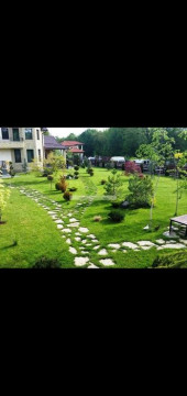 Amenajari Gradini si Spatii Verzi